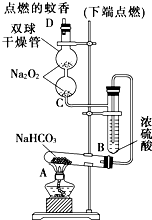 91考试网