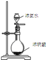 91考试网