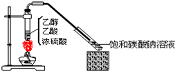 91考试网