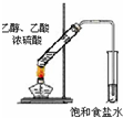 91考试网