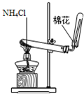 91考试网