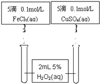 91考试网