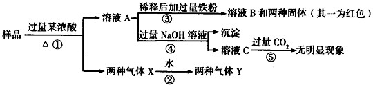 91考试网