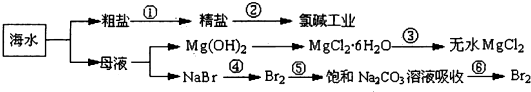 91考试网