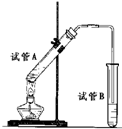 91考试网