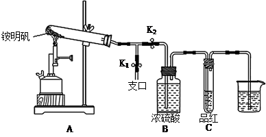 某同学欲探究食品添加剂铵明矾NH4Al(SO4)2·