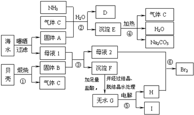 91考试网