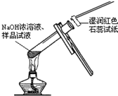 91考试网
