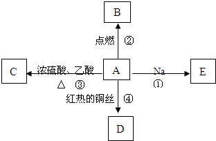 91考试网