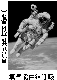 91考试网