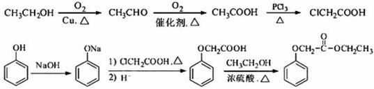 91考试网