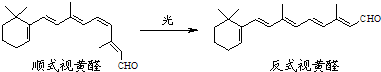 91考试网