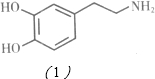 91