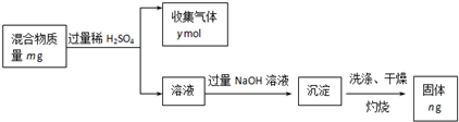 91考试网