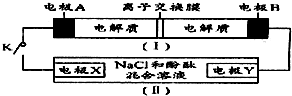 91考试网