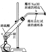 91考试网