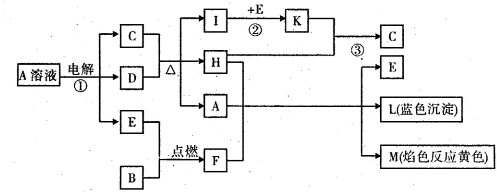 91考试网