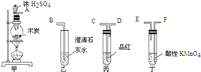 91考试网