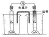 91考试网