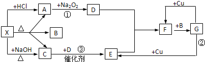 91考试网