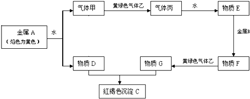 91考试网