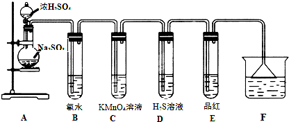 91考试网