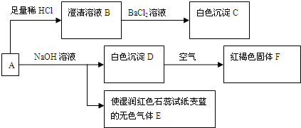 91考试网