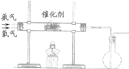 91考试网