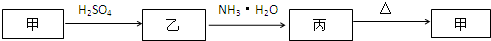 91考试网