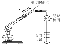 91考试网