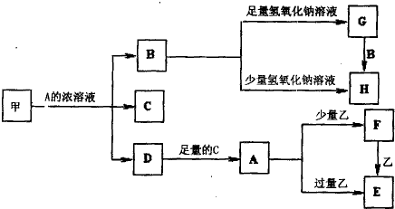 91考试网