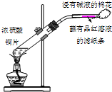 91考试网