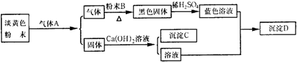 91考试网