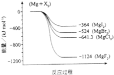 91考试网