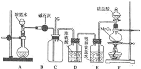 91考试网