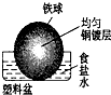 91考试网