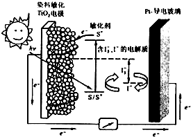 91考试网