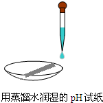 91考试网