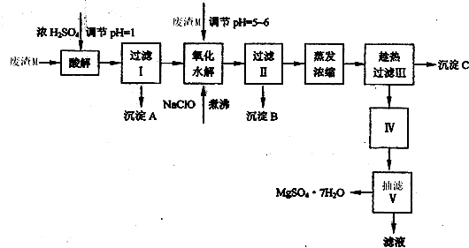91考试网