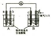 91考试网