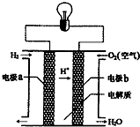 91