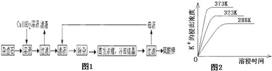 91考试网