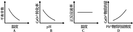 91考试网
