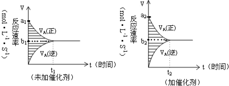 91考试网
