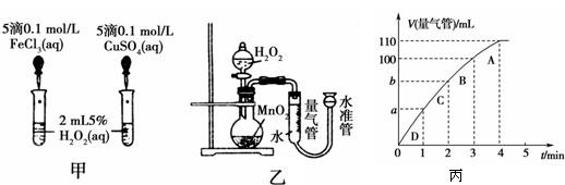 91考试网