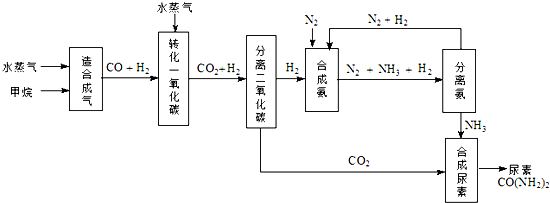 91考试网