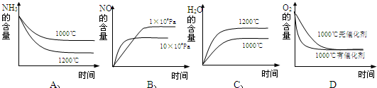 91考试网