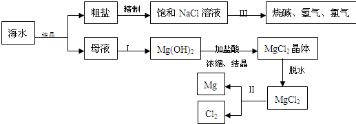 91考试网