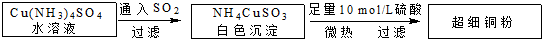 91考试网