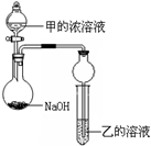 91考试网